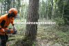 Husqvarna 550 XP® G MARK II, benzines láncfűrész